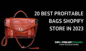20 Best Profitable Bags Shopify Store in 2023